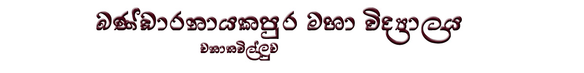 Bandaranayakapura Central Collage